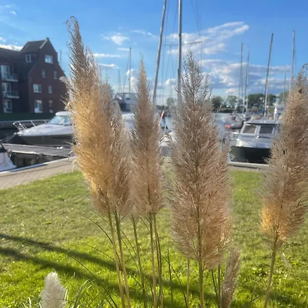 Lagunenstadt Am Haff Fewo 206 - Dolle